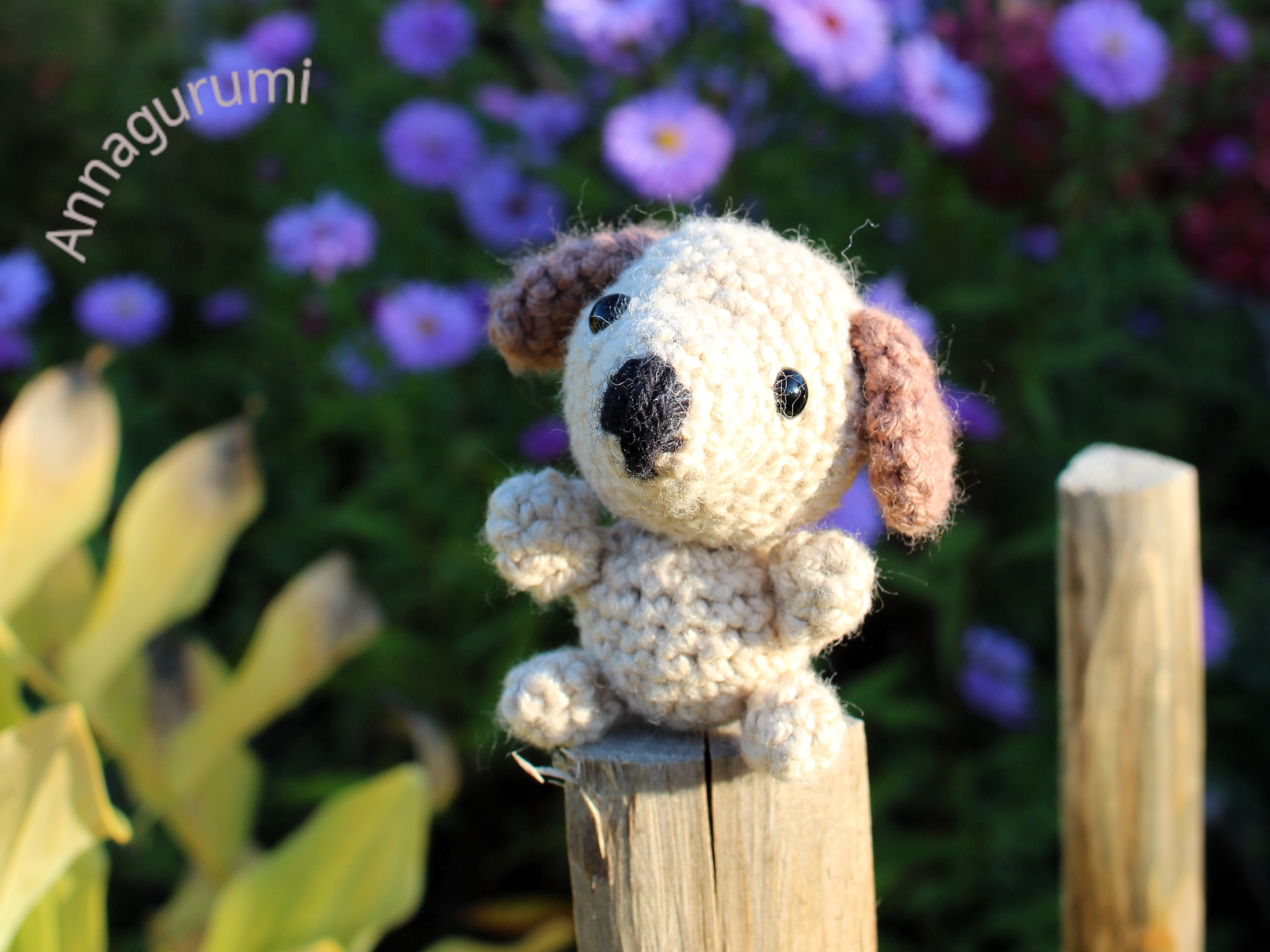 Start Image Annagurumi